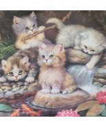 1996 BRADEX Bradford Exchange German Kitten Collector&#39;s Plate ~ No. 120 KP - $568.68 MXN
