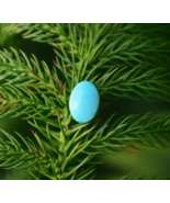 AAA + Natural Turquoise Gemstone, Oval Shape Turquoise, Jewelry Making G... - €12,02 EUR