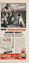 1952 Print Ad Gaines Meal Dog Food Hunter,Shotgun &amp; Hunting Dog - £13.36 GBP