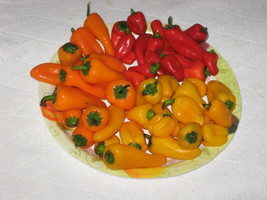 RAFHSTORE Sweetest Redyelloworange Mini Bell Pepper Seeds 20 Seeds Strawberry Sw - $8.35