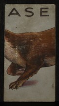 VINTAGE WILLS CIGARETTE CARDS ANIMALLOYS # No 44 NUMBER x1 b12 - $1.71