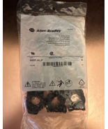NEW Allen Bradley 800F-ALP Ser A Plastic Latch. Bag of 10, 800FALP - €83,38 EUR