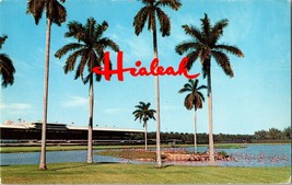 Vtg Postcard Hialeah, Beautiful infield lake and Flamingos, Miami, Fla. - £4.58 GBP