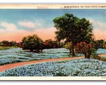 Blue Bonnets Texas State Flower TX UNP Linen Postcard E19 - $1.93
