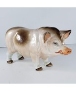 Antique Ernst Bohne Sohne Boar Pig Figurine - £477.06 GBP