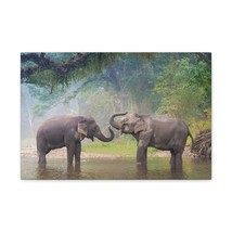 Funny Asian Elephant Silly Asian Elephant Couple Wall Art Ready to Hang Unframe - £56.81 GBP+