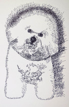Bichon Frise Dog Art Print #44 Kline will add your dogs name. DRAWING FR... - £39.52 GBP