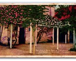 Oldest Rose Tree San Gabriel Archangel Mission CA California DB Postcard... - £1.54 GBP