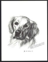 #34 GOLDEN RETRIEVER portrait dog art print * Pen and ink drawing by Jan... - $12.50