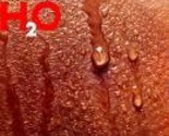 H2O [Record] - £8.02 GBP