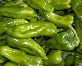 Pepper, Cubanelle Sweet Pepper Seeds, Non GMO, 50 Seeds per Pack, Some Prefer Th - £4.67 GBP