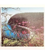 1988 Lake Baikal Alpine Spring USSR Russian Photo Print Card Cold War Er... - €25,73 EUR