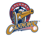 Calgary Cannons Defunct Baseball Team Mens Polo XS-6XL, LT-4XLT  New - $25.49+