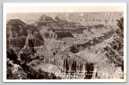 AZ View of Grand Canyon from Bright Angel Point Kaibab Forest RPPC Postcard J22 - £6.13 GBP