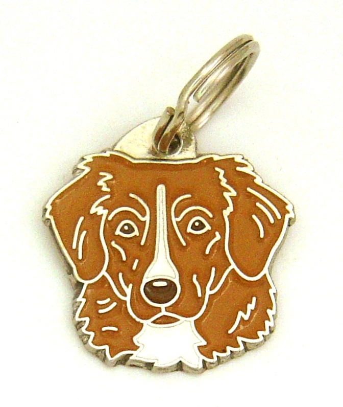 Dog ID tag, breed, Nova scotia duck tolling retriever, Engraved, Handmade, Charm