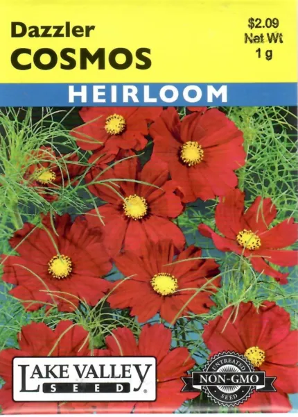 Cosmos Bright Lights Heirloom Non-Gmo Flower Seeds - Lake Valley 12/24 Fresh Gar - £6.13 GBP