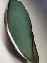 Icy Ice Vintage Old Green Burma Jadeite Jade Rough Stone # 737gram # 3685 carat - £6,794.52 GBP