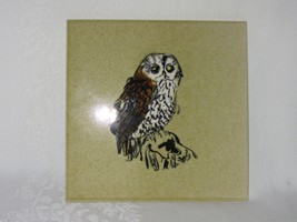 Vtg 60s Owl Ceramic Tile H&amp;R Johnson Cristal Withersdale England Hand Decorated - £31.21 GBP
