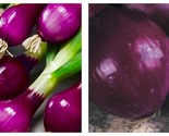 Onion Deep Purple Vegetable, 200 seeds, giant sweet organic vegetables - $16.93