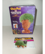 NEW Chia Pet Marvel Guardians of the Galaxy GROOT Bust Decorative Plante... - $35.59
