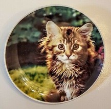 Tabby CAT LOVER Collector Plate 8&quot; Porcelain Hawthorn Direct 51803 Home Decor - £7.87 GBP