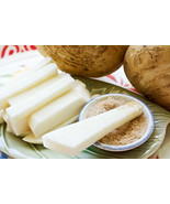 Thai Jicama Seeds, Chinese Potato, Singu Bean, NON-GMO, FREE SHIPPING - $30.67 MXN+