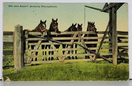 Kentucky Thoroughbreds &quot;Who Said Supper&quot; 1911 to Assumption Ill  Postcard J16 - $7.95