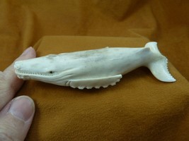 Whale-w74 Humpback Whale shed ANTLER figurine Bali detailed love watchin... - $135.56