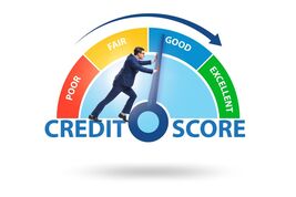 CREDIT SCORE FICO BUILDER IMPROVE INCREASE WELLS FARGO AUTH USER $3K OPE... - $99.00