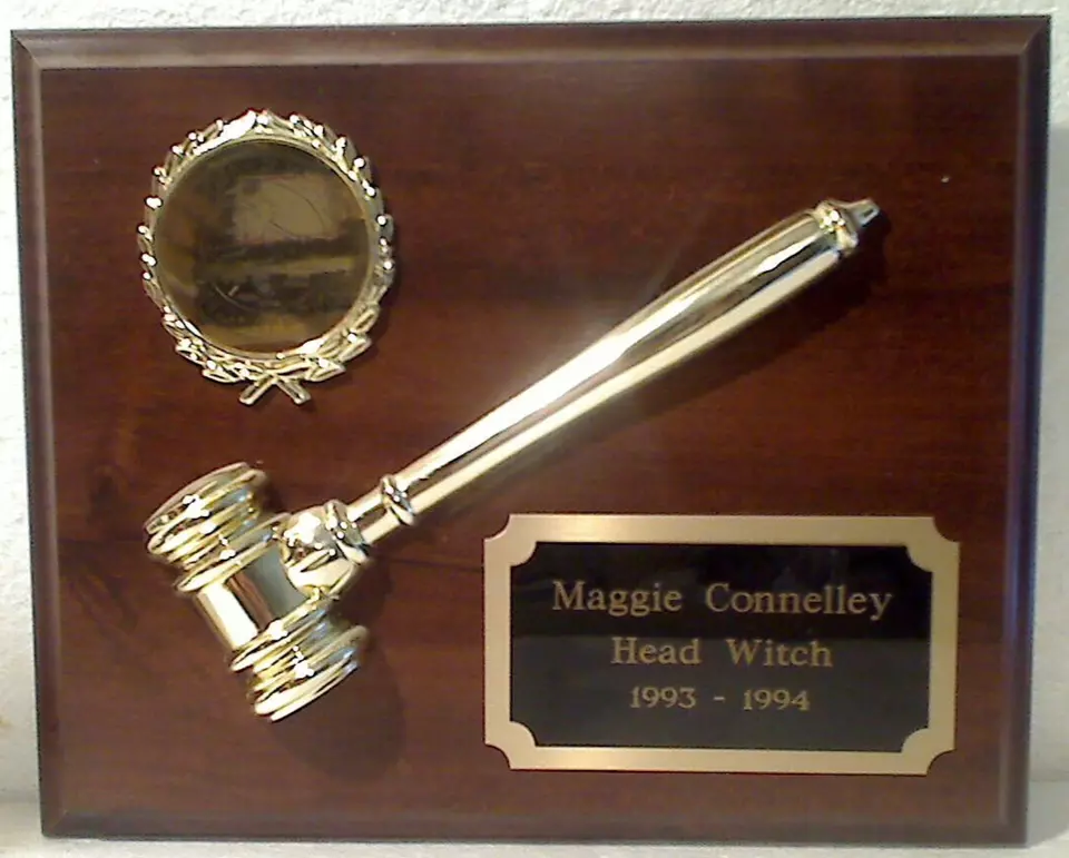 Virginia Beach Sand Witches 1993-1994 Head Witch Achievement Award Wall ... - $380.72 MXN