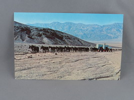 Vintage Postcard - 20 Mule Team Death Valley - Dexter Press - £11.85 GBP
