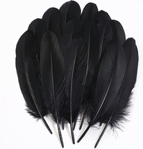 Black Craft Feathers Bulk - 120Pcs 6-8 Inch Real Goose Feathers - $11.88