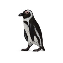 CollectA South African Penguin Figure (Small) - $331.19 MXN