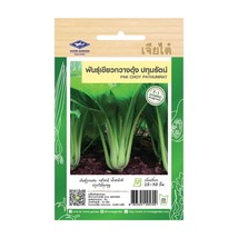 Bok Choy Pak Choi Pathumrat Seeds Home Garden Asian Fresh Vegetable Thai... - $8.02