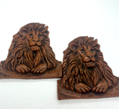 Plastic Lion Bookend Covers Set - $19.99
