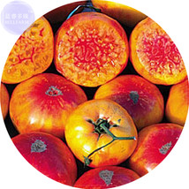 Non-Gmo Tomato Seeds Peach Vegetable Heirloom Garden USA SELLER - £5.97 GBP