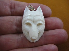 (j-wolf-24) White albino Wolf head aceh bovine bone carving artic Wolves... - £26.89 GBP