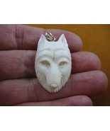 (j-wolf-24) White albino Wolf head aceh bovine bone carving artic Wolves... - $46.16 CAD