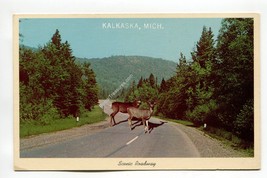 Scenic Roadway, Kalkaska, Michigan - £0.79 GBP