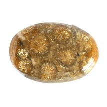 28.36 Carats TCW 100% Natural Beautiful Fossil Coral Oval cabochon Gem by DVG - £14.70 GBP