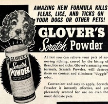 Glovers Scratch Powder Dogs 1953 Advertisement Fleas Lice Ticks DWDD20 - £15.62 GBP