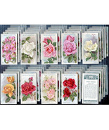Tobacco Cards Full Set of 50 Roses Flowers 1926 WD &amp; HO Wills 04350 - £31.90 GBP