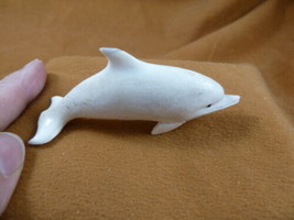 Dolph-w36 white Albino Dolphin of shed ANTLER figurine Bali detailed car... - £43.61 GBP