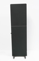 Definitive Technology DM60 Dymension Mid-Size Tower Speaker (Each) image 6