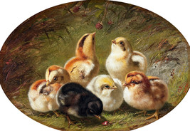 Framed canvas art print giclee A Brood of Chicks, 1865 antique painting - £31.53 GBP+