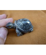 Y-TUR-LA-4 gray white Tortoise land turtle SOAPSTONE FIGURINE little tur... - $11.78 CAD