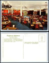 FLORIDA Postcard - St. Petersburg, Driftwood Cafeteria Restaurant N42 - £3.10 GBP