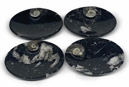 734g, 4pcs, 4.7&quot;x3.8&quot; Small Fossils Ammonite Orthoceras Bowl Oval Ring,B8862 - £47.95 GBP