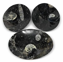 3pcs, 6-6.25&quot;x4.7&quot; Black Fossils Ammonite Orthoceras Bowl Oval Ring @Morocco,B88 - £41.55 GBP