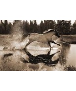 Running On Water by R. Dawson Palomino Horse Western Open Edition Paper 20x24 - $37.62
